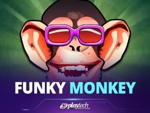 Funky Monkey game thumbnail